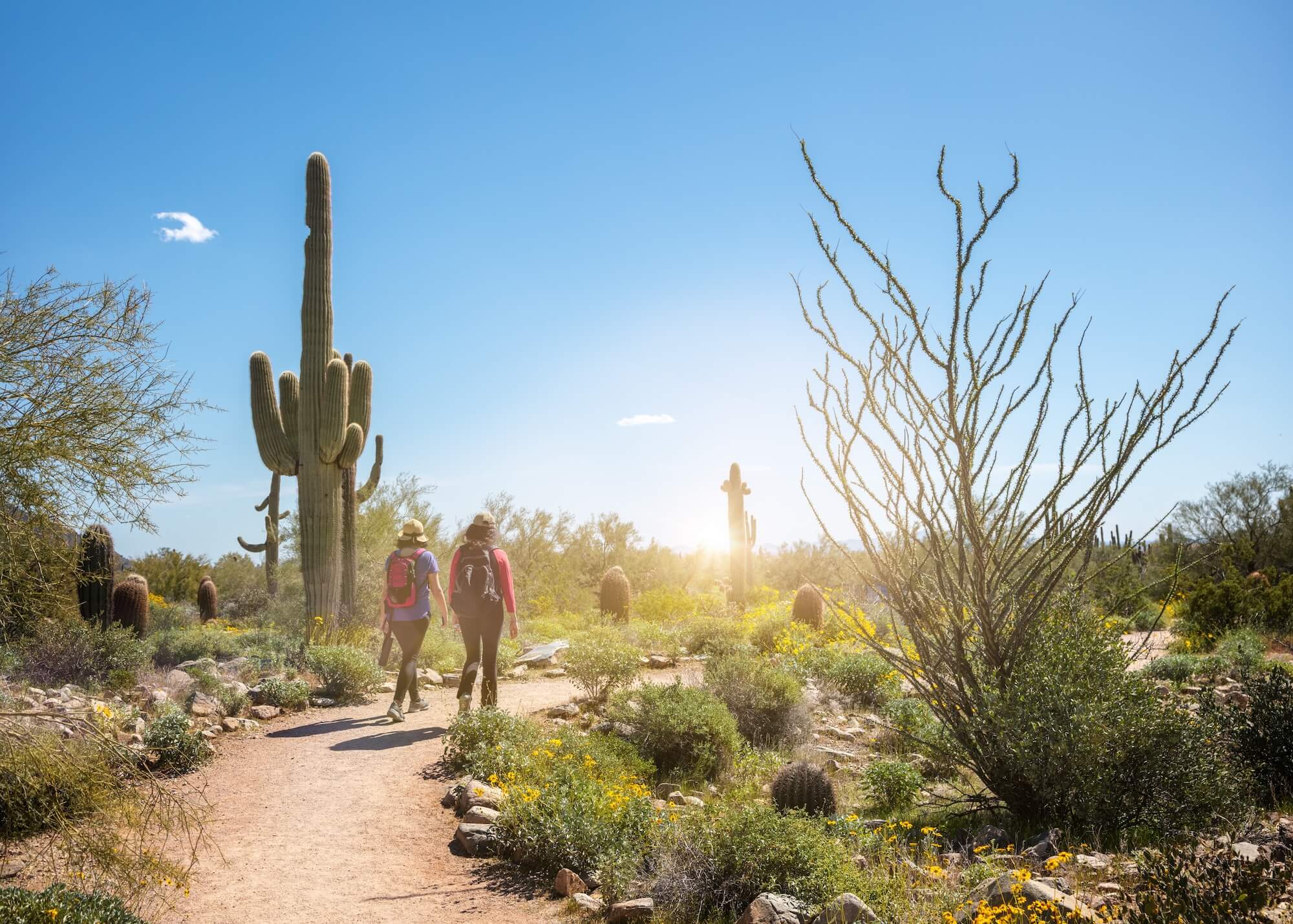 two hikers in the scottsdale desert